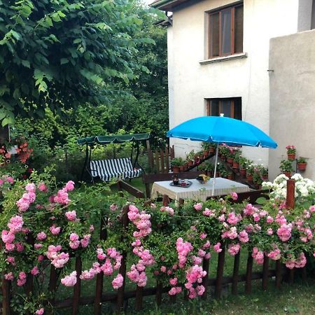 Guest House Emmy Trigrad Bagian luar foto