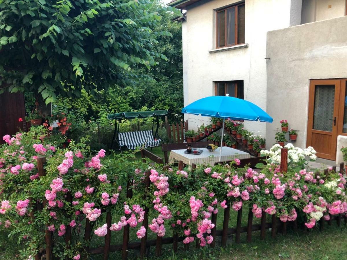 Guest House Emmy Trigrad Bagian luar foto
